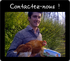 Contactez-nous